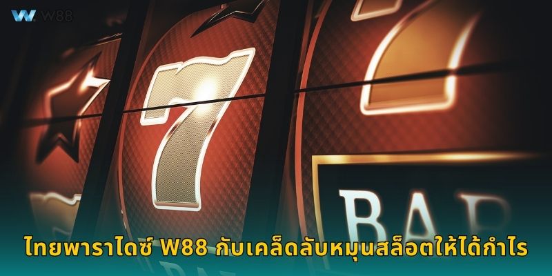 ไทยพาราไดซ์ W88 กับเคล็ดลับหมุนสล็อตให้ได้กำไร
